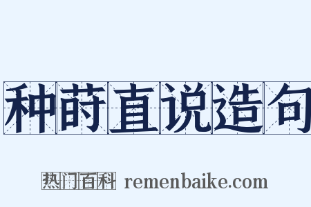 种莳直说造句是什么意思的图片